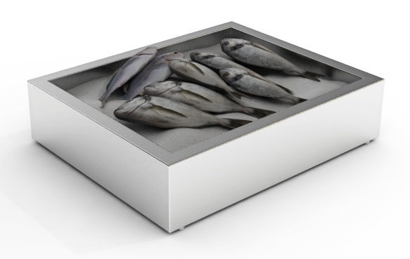 BAC À GLACE PILÉE EN CONSTRUCTION 2/1 GN COMBISTEEL 7013.2705